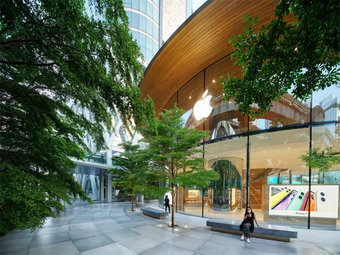 Apple Central World 户外广场的榄仁树。.webp